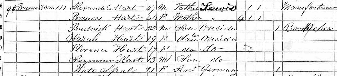 Detail image of the New York State Census from 1865