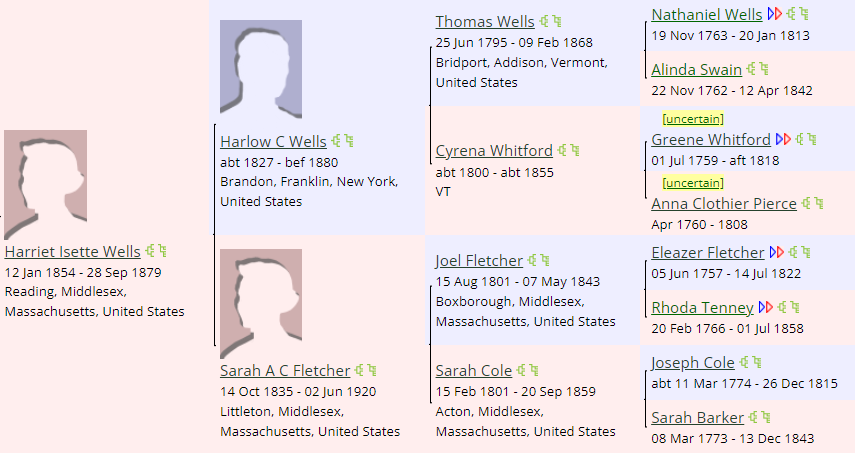 An image of Hattie Wells's ancestor tree from her WikiTree profile
