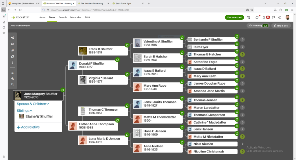 Tree view for June Shuffler Project