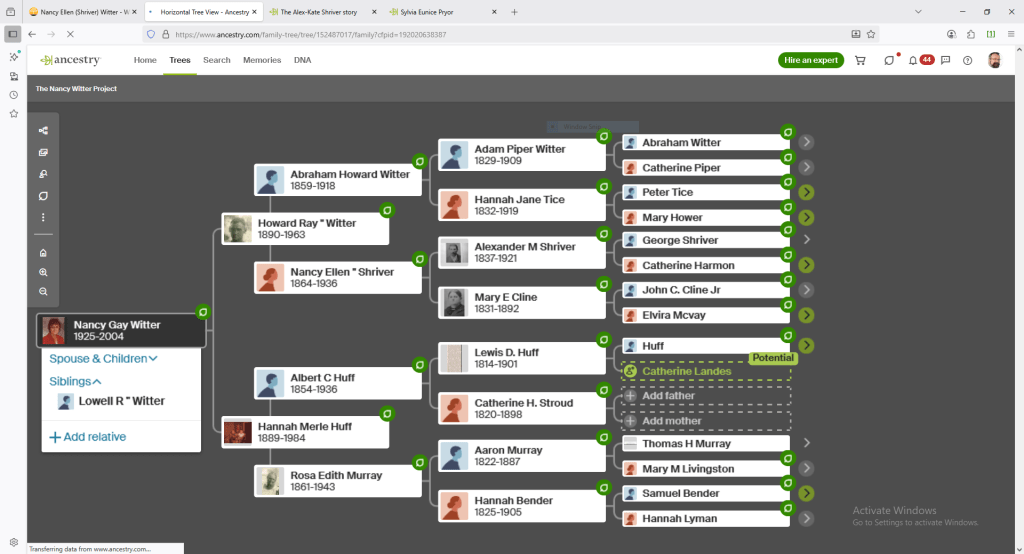 Tree view for Nancy Witter Project