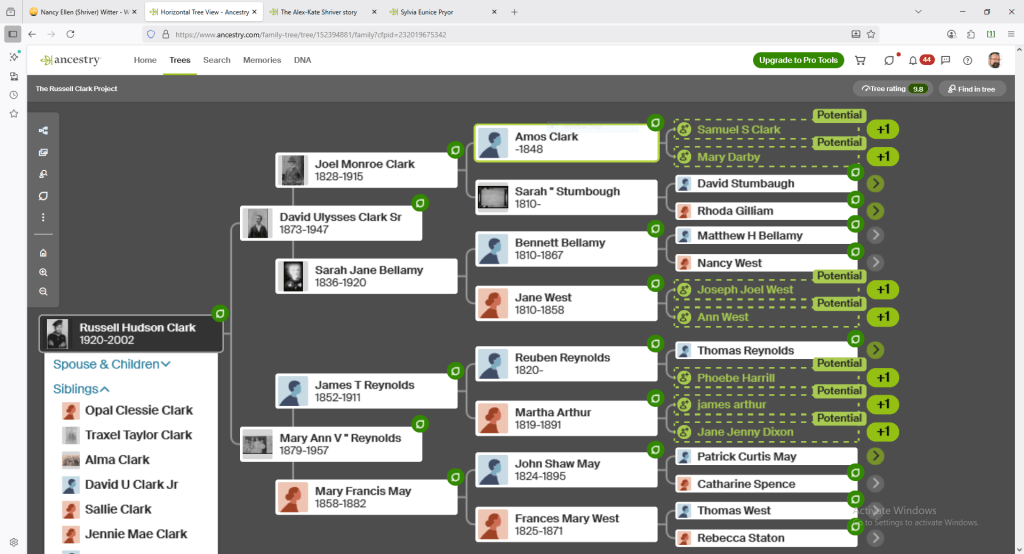 Tree view for Russell Clark Project
